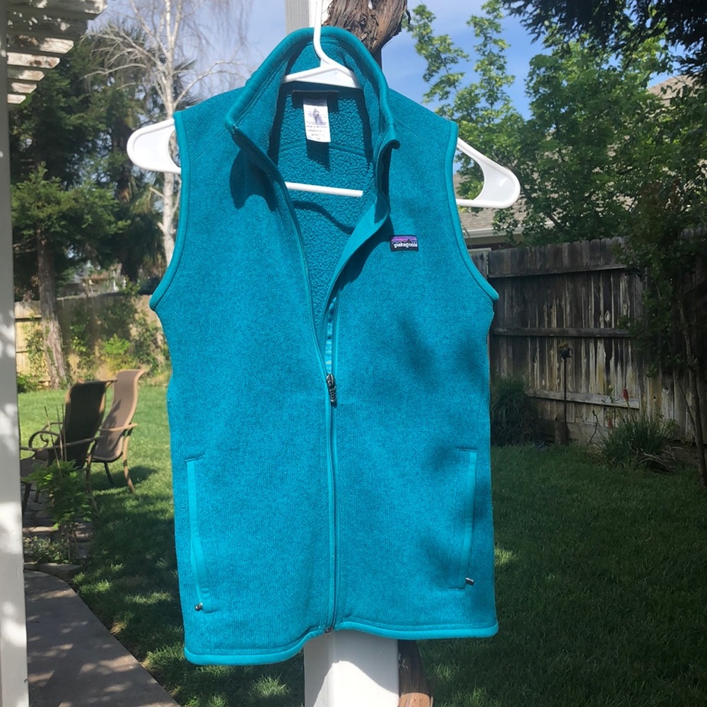 EUC Patagonia Better sweater vest